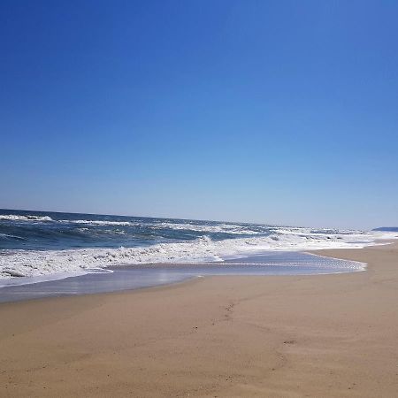 Carolmike Oasis Beach Apartment Kamchia Reserve Kültér fotó